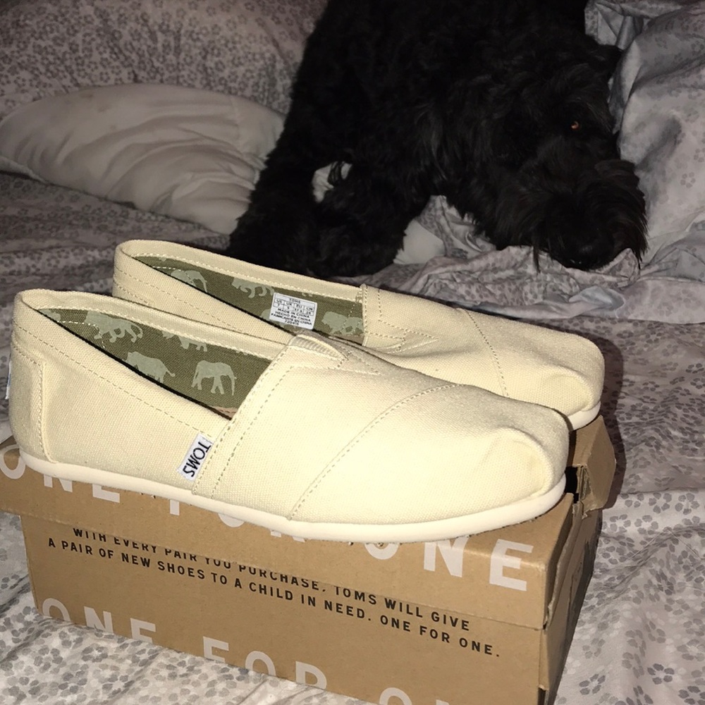 Light Beige Toms 🤟🏼